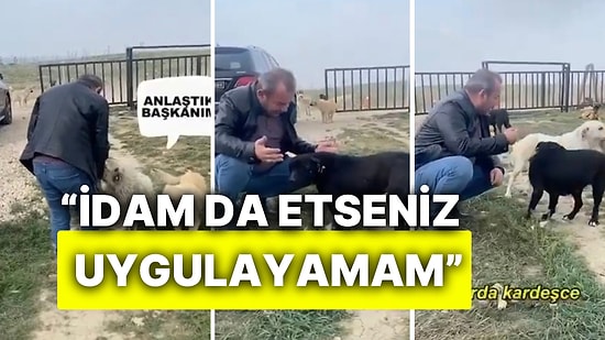 Bolu Belediye Başkanı Tanju Özcan Sokak Köpekleri Hakkında Hazırlanan Yasa İçin Konuştu