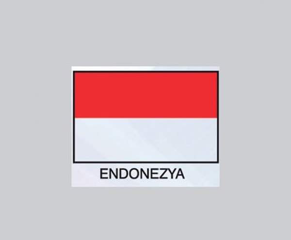 4. Endonezya