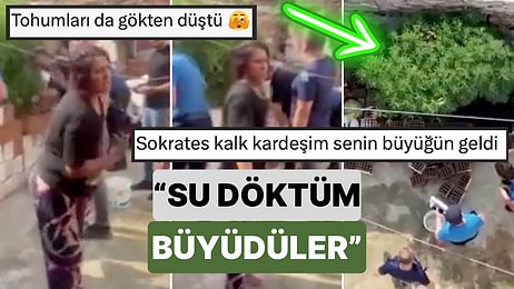 Bildiğiniz Tüm Savunmaları Unutun:Bahçesinde Kenevir Yetiştiren Kadın Yaptığı Savunmayla Ağızları Açık Bıraktı