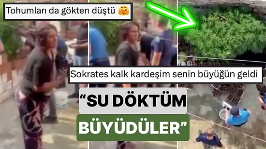 Bildiğiniz Tüm Savunmaları Unutun:Bahçesinde Kenevir Yetiştiren Kadın Yaptığı Savunmayla Ağızları Açık Bıraktı