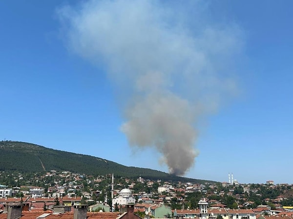 Yangın, Pendik Aydos Ormanı'nda saat 14.00 sıralarında çıktı. İhbar üzerine olay yerine çok sayıda itfaiye ekibi sevk edildi. Yangında, yükselen alev ve dumanlar çevreden de görüldü. İtfaiye ekiplerinin yangına müdahalesi devam ediyor.