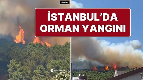 İstanbul Pendik'teki Aydos Ormanında Yangın Çıktı