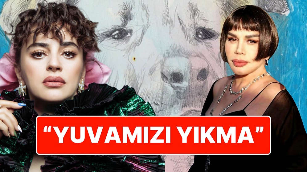 "Dostum Uyutma Canları, Yuvamızı Yıkma": Sezen Aksu ve Ceylan Ertem Sokak Hayvanları İçin "Bizi Unutma" Dedi