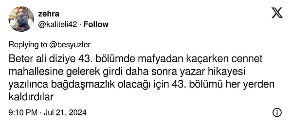 Ancak dizinin bir başka hayranı bu gizemi çoktan çözmüş bile! Meğer Beter Ali'ye yazılan hikayenin 43. bölüm sonrası değişmesi sebebiyle arada bağdaşmazlık yaşanmaması için bölüm yayından kaldırılmış.