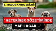 'Ötanazi' Yasa Teklifinde Yeni Gelişme: Tartışmalı 5. Madde Kabul Edildi