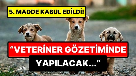 'Ötanazi' Yasa Teklifinde Yeni Gelişme: Tartışmalı 5. Madde Kabul Edildi