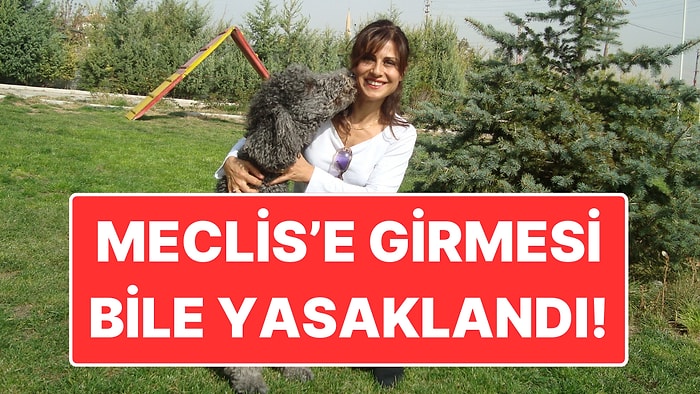 Dernek Başkanına Meclis’e Giriş Yasağı: Bu Yasama Döneminde İçeriye Alınmayacak