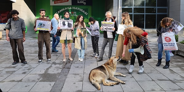 "Bölücü terör örgütünün beşikteki bebeği katletmesine Gazze'de masum çocukların katledilmesine ses çıkarmayanlar kalkıp da bize merhametten bahsetmesin. Unutmayın timsahın gözyaşları merhametten değildir."