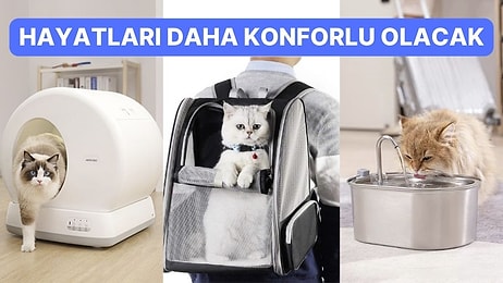 Evcil Dostlarınız Artık Daha Mutlu! En Çok Satan Kedi Ürünleri