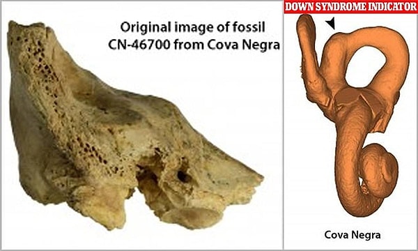 Previous evidence of Neanderthals caring for their sick and injured has sparked a debate about whether this behavior was driven by mutual expectations or genuine compassion.