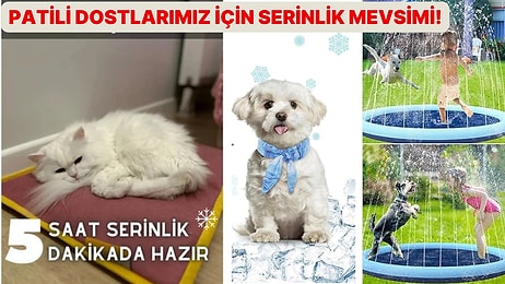 Onlar da Sıcaklardan Bunalıyor: Kedi ve Köpekleriniz İçin Serinletici Ürün Önerileri