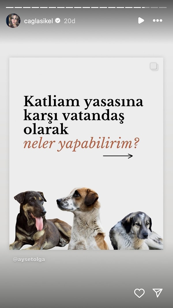 Çağla Şıkel de bu ünlü isimlerden bir tanesi tabii! Ancak Şıkel'in paylaşımları Seren Serengil'e yeterli gelmemiş olacak ki ünlü isim yine açtı ağzını yumdu gözünü.