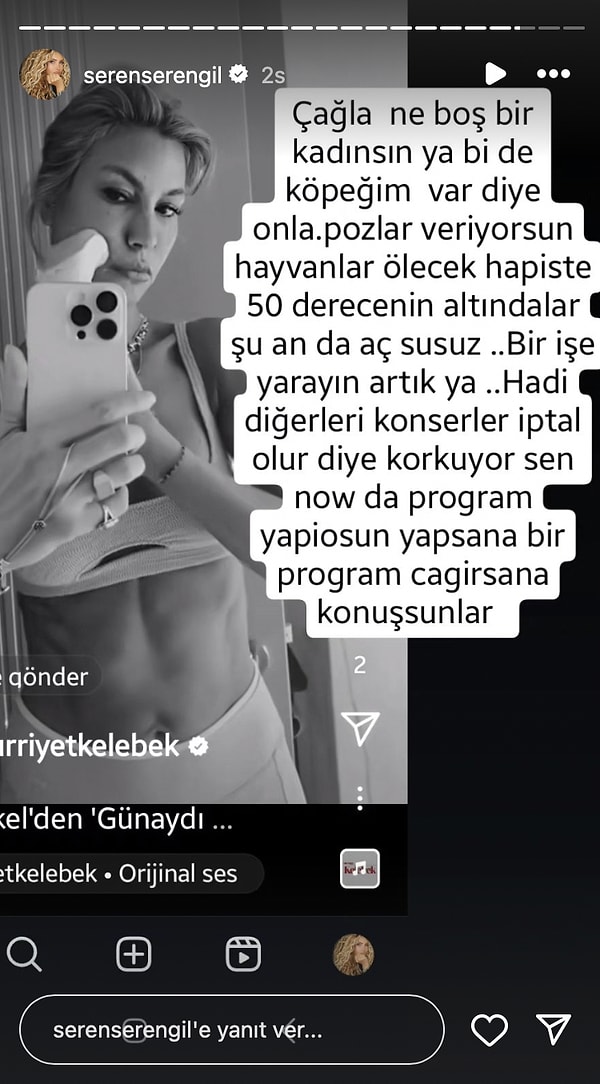 Şıkel için "Ne boş bir insansın" diyen Serengil, ünlü ismi hem köpek besleyip hem de hiçbir tepki göstermemekle suçladı. Aynı zamanda diğer ünlülerin konserlerinin iptal olmasından korktuğu için tepki göstermediklerini söyleyen Serengil, Çağla Şıkel'e "o kadar program yapıyorsun, çağırsana konuşsunlar" cümleleriyle seslendi.