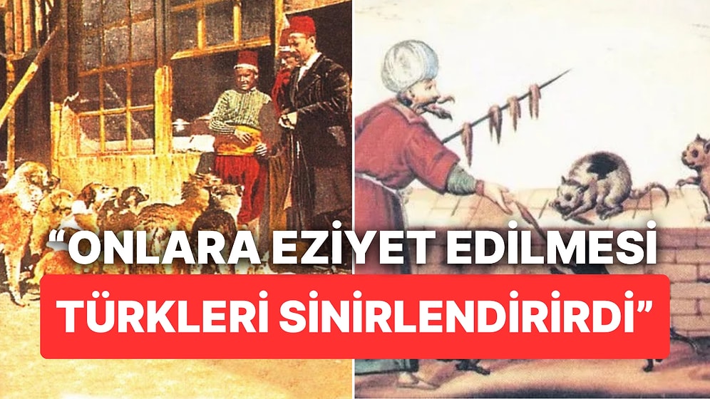 Tarihi Belgelerle Türklerin Hayvanseverliğinin Kanıtı: Yüzyıllardır Süren Bir Bağ!