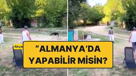 Bu Nasıl İnsanlık? Almanya’dan Tatile Gelen Gurbetçiler Köpekleri Vurdu