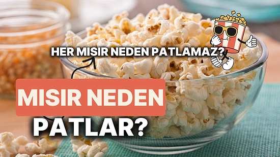 Patlamış Mısır Neden Patlar? Peki Film Keyfinin Vazgeçilmezi Patlamış Mısır Neden Patlamaz?