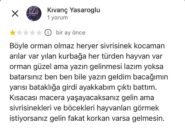 İbretlik yorum şöyle 👇