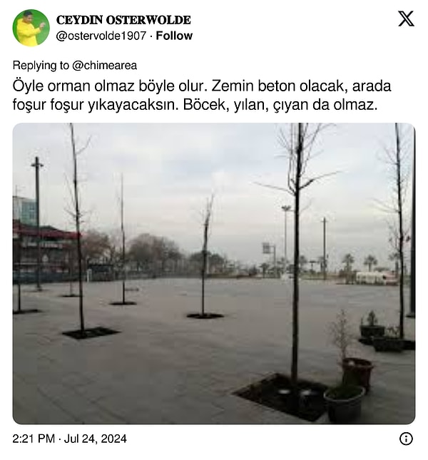 İstediği orman bu.