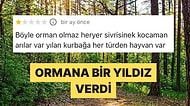 Ormana Gidip Böceklerden Şikayetçi Olan Adam Beynimizi Yaktı