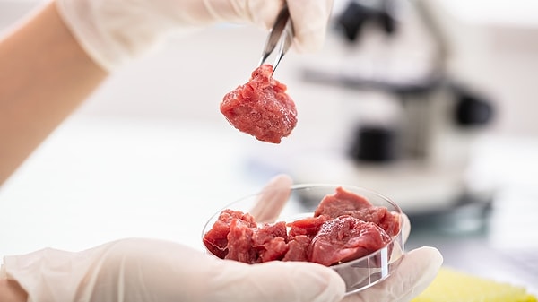 Artificial meats are produced by growing animal stem cells in a nutrient-rich liquid.