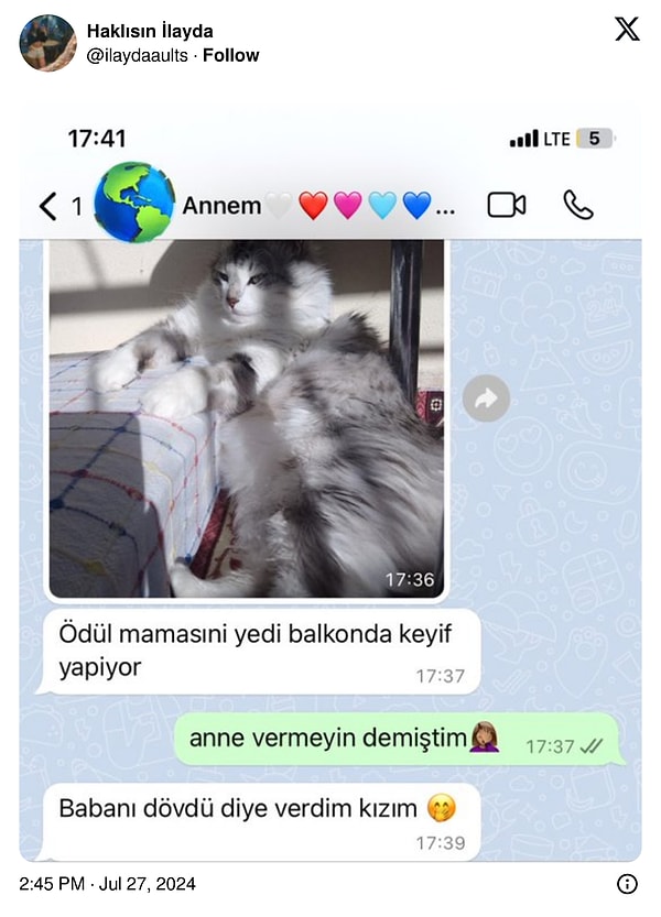 6. Kedi eğitimi dediğin;