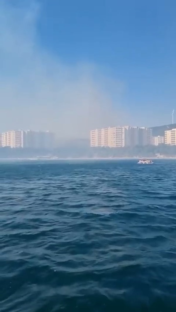 Yalova Valisi Hülya Kaya, yangınla ilgili yaptığı açıklamada, “Armutlu'da Kapaklı ve Keçikayalıkları'nda iki noktada gelişen yangına 2 adet yangın söndürme helikopteri, 10 arazöz ve bölgedeki itfaiye araçlarımızla müdahale ediyoruz. Kısa sürede yangını kontrol altına almayı umuyoruz. Gerekli tüm önlemler için ekiplerimiz ve gönüllüler sahada” dedi.