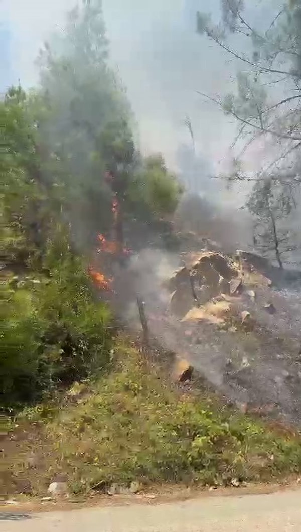 Kahramanmaraş'ın 12 Şubat ilçesi Suçatı Fındız mevkiindeki ormanlık alanda öğle saatlerinde çıktı. Rüzgarın da etkisiyle geniş bir alana yayılan yangına 11 arazöz, 1 helikopter ve 110 personelle müdahale ediliyor.