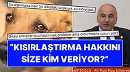 Ak Partili Vekilin "Bir Köpeği Kısırlaştırma Yetkisini Nereden Alıyorsunuz?" Sözleri X'i Karıştırdı
