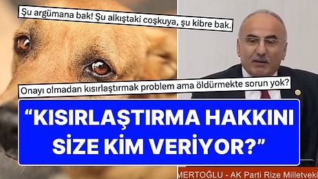 Ak Partili Vekilin "Bir Köpeği Kısırlaştırma Yetkisini Nereden Alıyorsunuz?" Sözleri X'i Karıştırdı