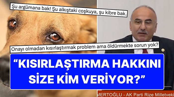 Ak Partili Vekilin "Bir Köpeği Kısırlaştırma Yetkisini Nereden Alıyorsunuz?" Sözleri X'i Karıştırdı