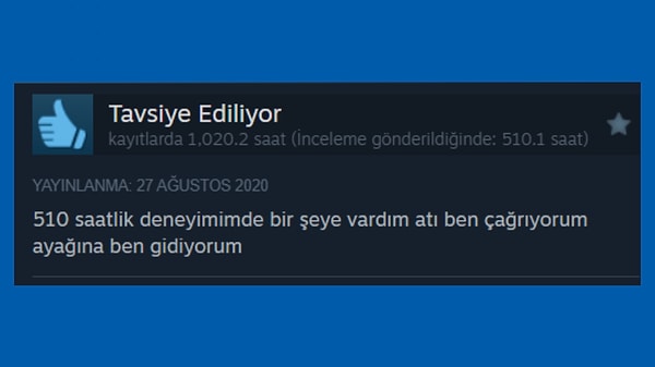 Mesela bu oyunda patronun siz olduğunuzu zannedersiniz ama hayır, patron atınızdır.