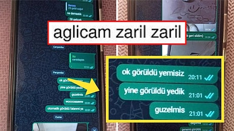 Küçük Kardeşinin Hoşlandığı Çocukla Olan Konuşmasını Paylaşan Abla 'Benim Nasibi Zorlama Şekli' Dedirtti