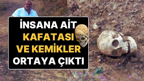 Gümüşhane’de Heyelan Sonrası 200 Yıllık Olduğu Tahmin Edilen İnsan Kafatası ve Kemikler Bulundu