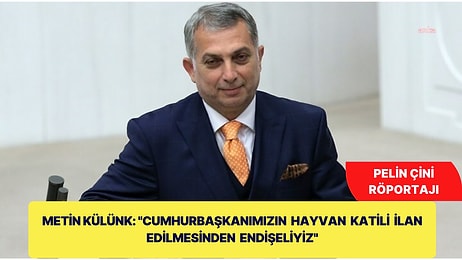 Metin Külünk: "Cumhurbaşkanımızın Küresel Ölçekte Hayvan Katili İlan Edilmesinden Endişe Ediyoruz"