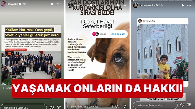 TBMM'den Geçen Sokak Hayvanı Yasası'na Ünlülerden Tepki Yağdı!