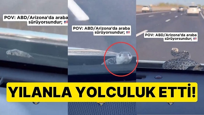 Arabanın Kaputundan Davetsiz Misafir Çıktı: Yılanla Yolculuk Etti