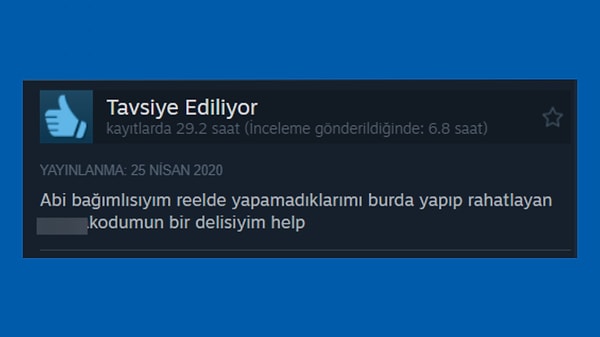 Sadece bir yaşam simülasyonu değil, hayallerimizdeki hayatı yaşatma simülasyonu.