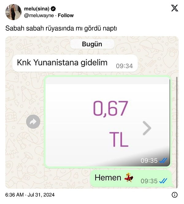 Anlık hevesle girilen işler...