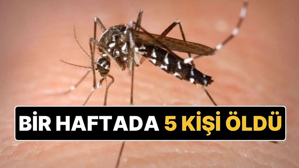 Yunanistan'da Sivrisinek ve Batı Nil Virüsü Paniği: Bir Haftada 5 Kişi Hayatını Kaybetti