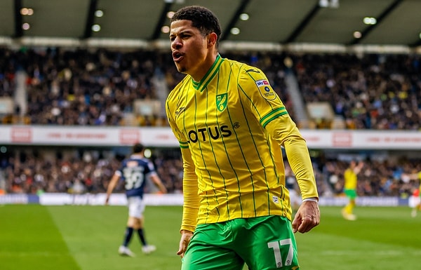 İngiltere'de Premier Lig'in bir altı olan Championship'te boy gösteren Norwich City formasıyla 53 resmi maça çıkan Sara, bu maçlarda 14 gol ve 13 asistlik performans göstermişti.