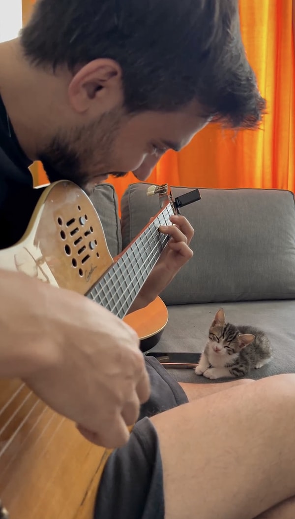 Tatlı kedi gitar çalan kişiyi izliyor, gitardan sesler yükseldikçe ise kendinden geçiyordu.