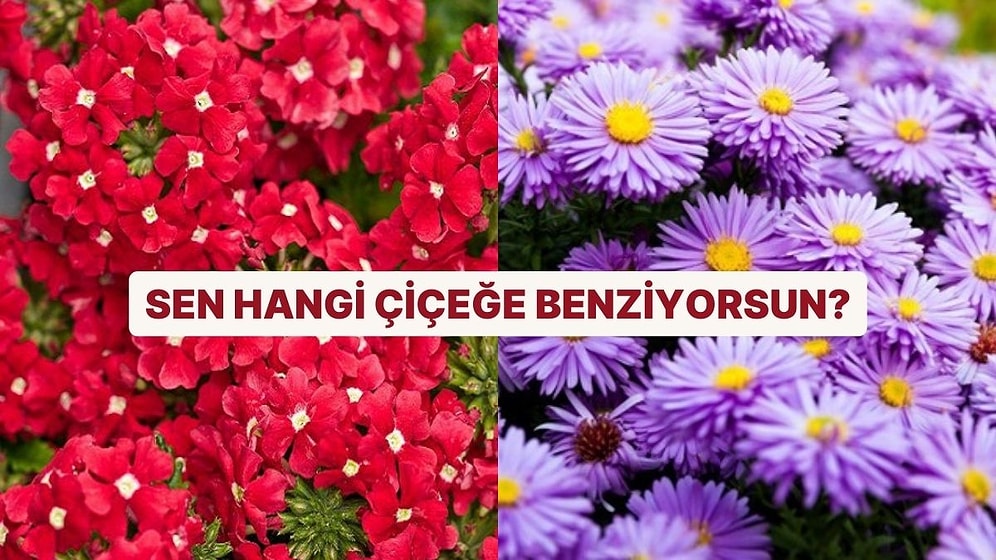 Sen Hangi Çiçeğe Benziyorsun?