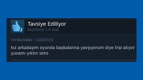 The Sims'te başkasına yazılmak boşanma davasında falan kusur sayılır mı acaba çok merak ettim ya.