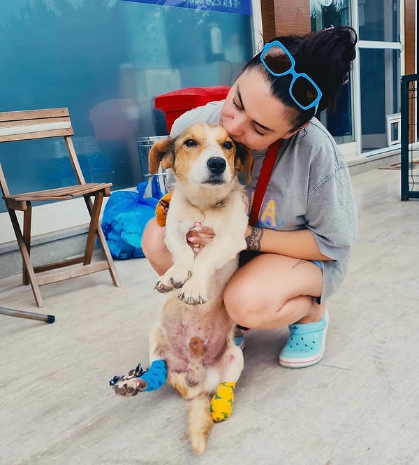 "Tavsiye ederim kızlar. Köpek sahiplenin bu rezil dünyadaki en centilmen koruyucularınız onlar. Siz de onların en azılı koruyucuları oluyorsunuz tabii. Yaklaşanı birlikte alt etme gücünüzün boyutları devasa, Beni bunca yıl her türlü pislikten, tehlikeden korumuş -ki bunu yapmasalar da vardım bu davaya-evlatlarımı kimseye yedirtmem! Evlatlarımın kardeşleri sokak canlarını da"