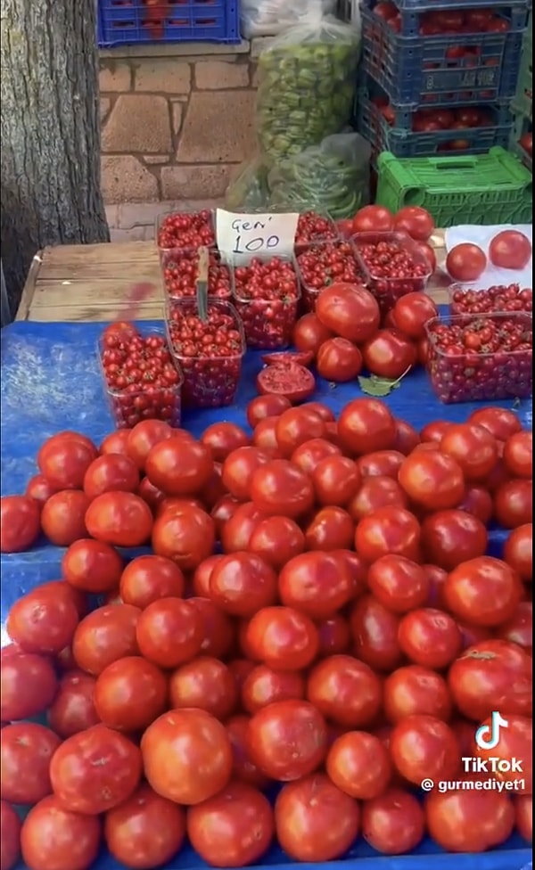 Çeri domatesin kilosu ise 100 TL. Fiyatlar hiç de ucuz değil gibi görünüyor. Siz ne diyorsunuz?