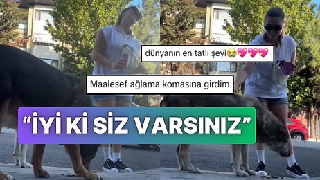 Sokak Köpeklerini Besleyen Bir Kadının Yaşadığı Olay İçinizi Isıtacak