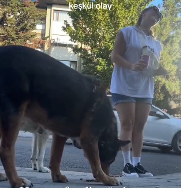 Genç kadın, sokak köpeklerini beslerken yanına yaşlı bir amca geldi. Amca, sokak köpeklerinin aç kaldığını ve göz ardı edildiğini belirterek, genç kadına bu canlara yardım ettiği için içtenlikle teşekkür etti.