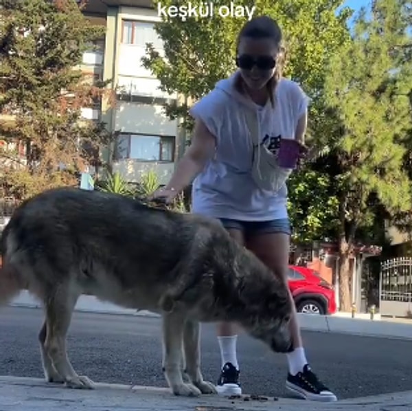 Sokak köpeklerini beslemeyi ihmal etmeyen genç kadın ve yanına gelen samimi amca arasında geçen göz yaşartan diyalog, sosyal medyada binlerce beğeni topladı.