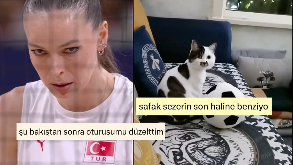 Kaptan Eda'nın Bakışından Şafak Sezer'e Benzeyen Kediye Son 24 Saatin Viral Tweetleri