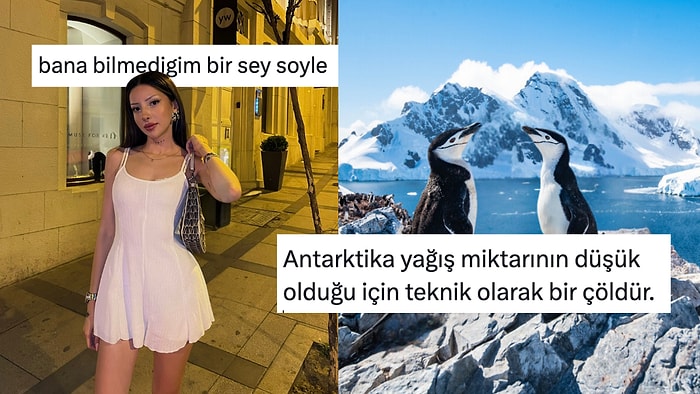 "Bana Bilmediğim Bir Şey Söyle" Akımıyla Gurme Bilgiye Doyuran Twitter Kullanıcıları